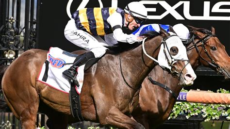 racenet tips|Horse Racing Tips News .
